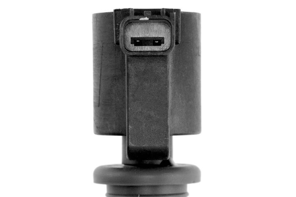 INDUCTION COIL compatible JAGUAR S-TYPE 3.0 V6 1999- ECZ-LR-008